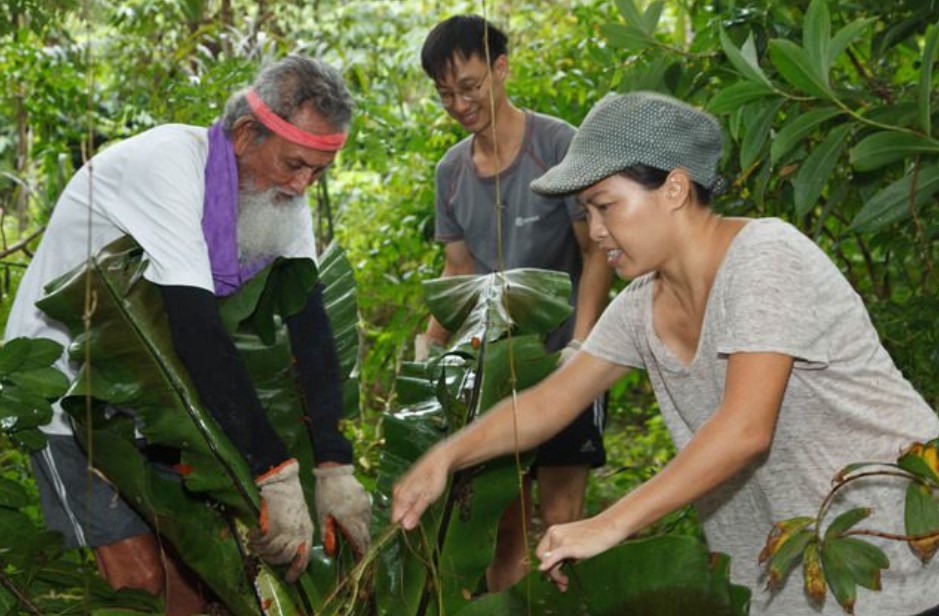 From Concrete to Canopy: Green Volunteers' Transformative Work